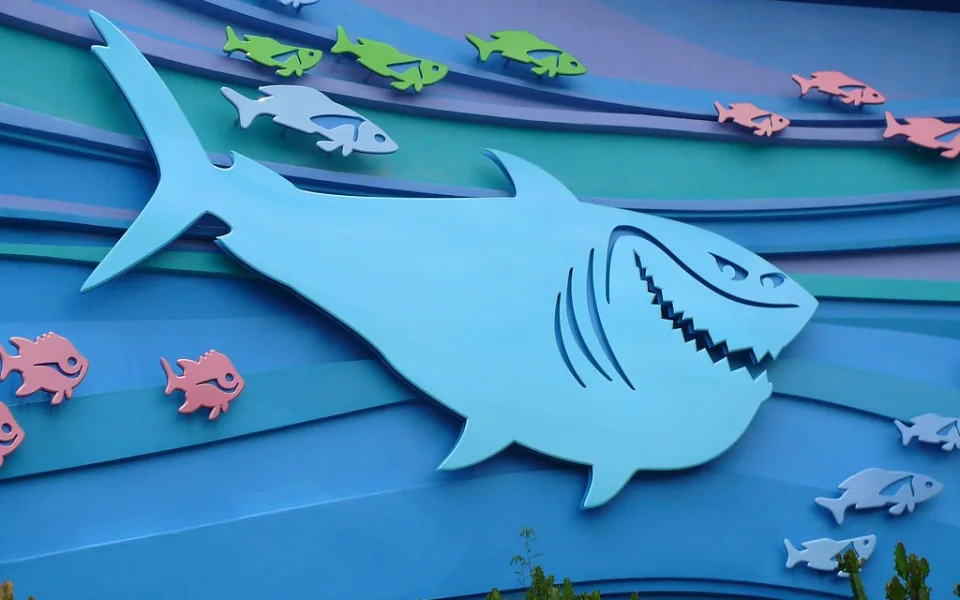 Photo 1 of Bruce's Shark World