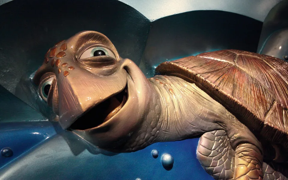 Photo 1 of Turtle Talk With Crush