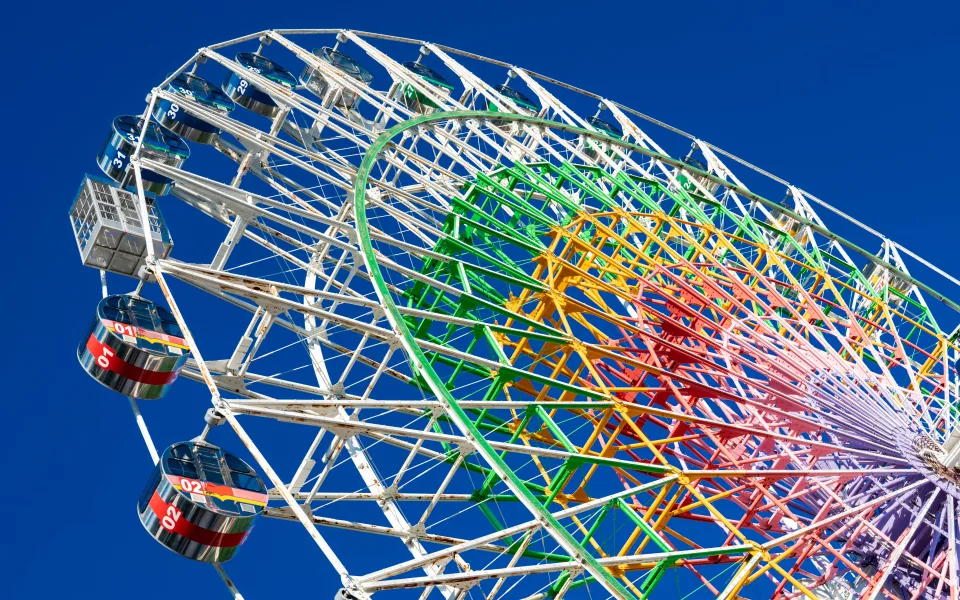 Photo 1 de Shining Flower Ferris Wheel