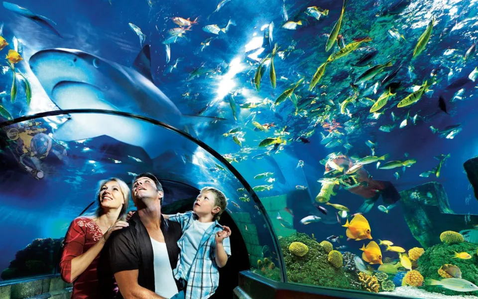 Foto 1 av Atlantis by SEA LIFE™