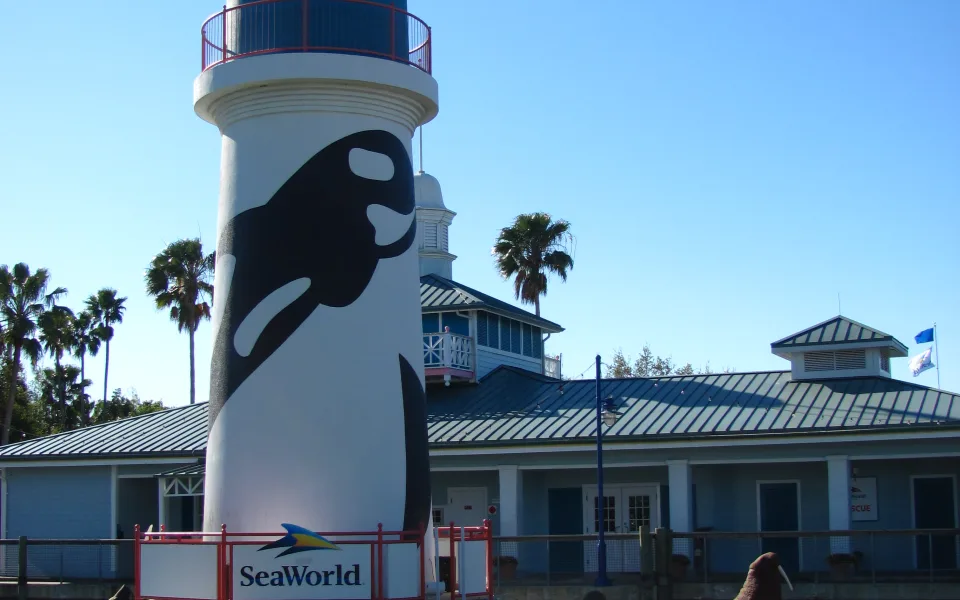 Foto 1 af SeaWorld Orlando