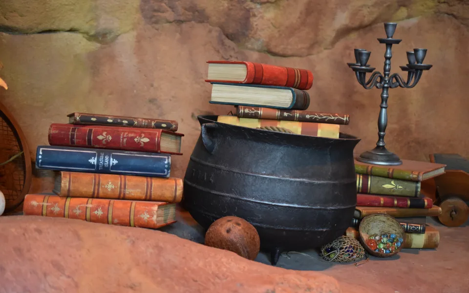 Photo 1 de Peter Pan's Never Land Adventure